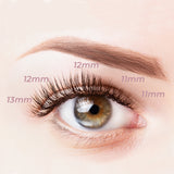 MAEXUS Lash Clusters, Individual Lashes Available for Diy lashes, Lashes Natural Look (C Curl Lash Extensions 11/12/13mm 60 Clusters)